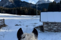 maneggio-6